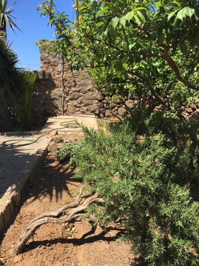 Cactus B&B Le Casette Di Marilena パンテレリア エクステリア 写真
